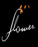 Carátula de Flower (PS3 Descargas)
