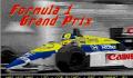 Pantallazo nº 11109 de Formula 1 Grand Prix (321 x 200)