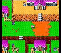 Pantallazo de Gargoyle's Quest II: The Demon Darkness para Nintendo (NES)