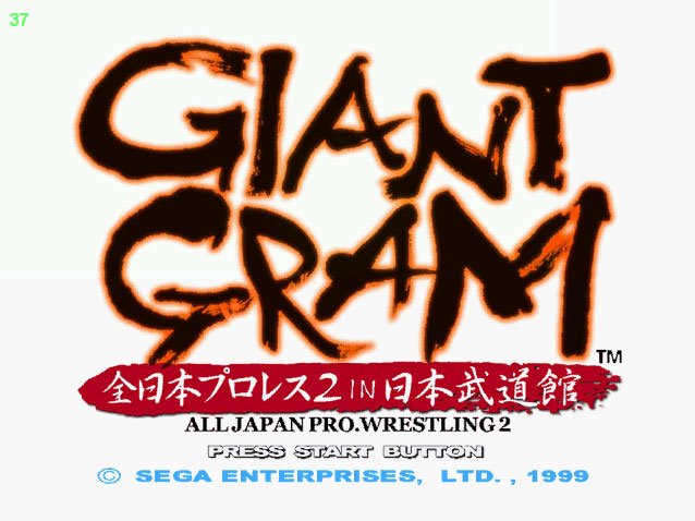 Pantallazo de Giant Gram: All Japan Pro Wrestling 2 para Dreamcast