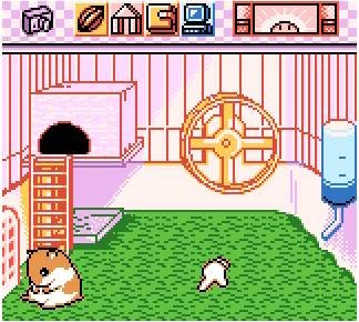 Pantallazo de Hamster Paradise para Game Boy Color
