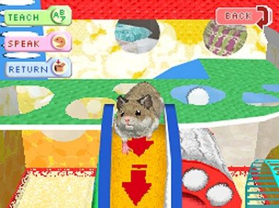 Pantallazo de Hamsterz Life para Nintendo DS