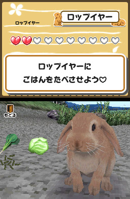 Pantallazo de Hana Deka Club Animal Paradise (Japonés) para Nintendo DS