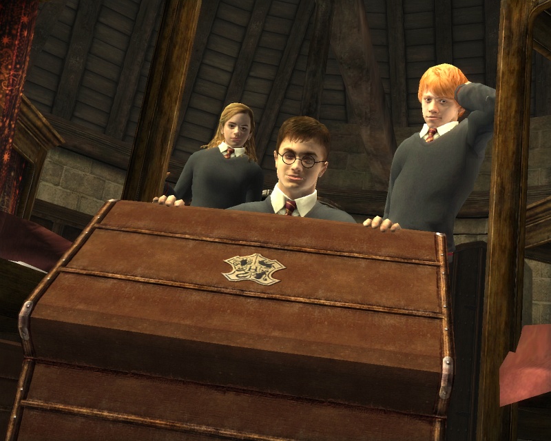Pantallazo de Harry Potter and the Order of the Phoenix para PlayStation 2