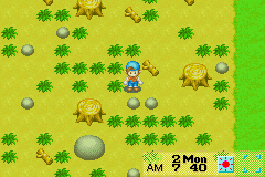 Pantallazo de Harvest Moon: Friends of Mineral Town para Game Boy Advance