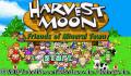 Foto 1 de Harvest Moon: Friends of Mineral Town