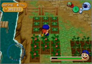 Pantallazo de Harvest Moon: Magical Melody para GameCube