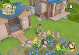 Pantallazo de Harvest Moon: Magical Melody para Wii