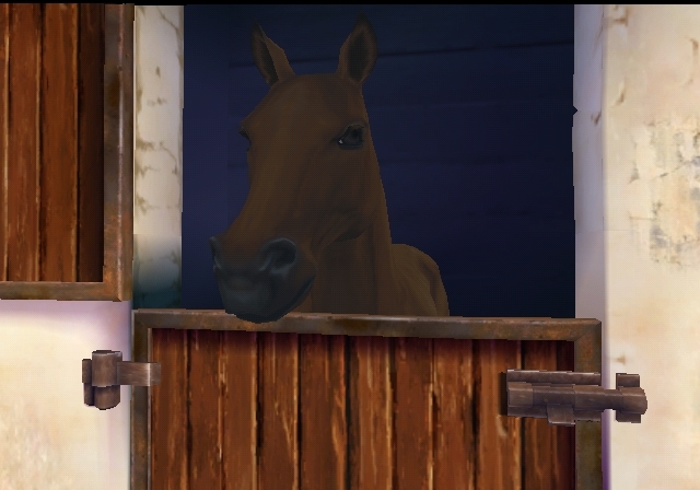 Pantallazo de Horse Life 2 para Wii