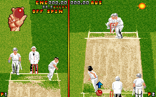 Pantallazo de Ian Botham's Cricket para PC