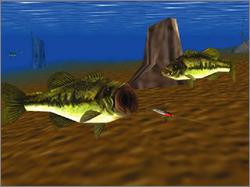 Pantallazo de In-Fisherman Bass Hunter 64 para Nintendo 64