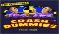 Pantallazo nº 96065 de Incredible Crash Dummies, The (250 x 170)