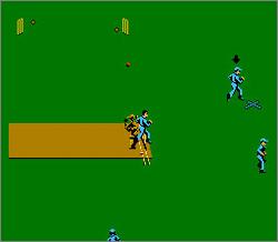 Pantallazo de International Cricket European para Nintendo (NES)