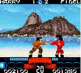 Pantallazo de International Karate para Game Boy Color
