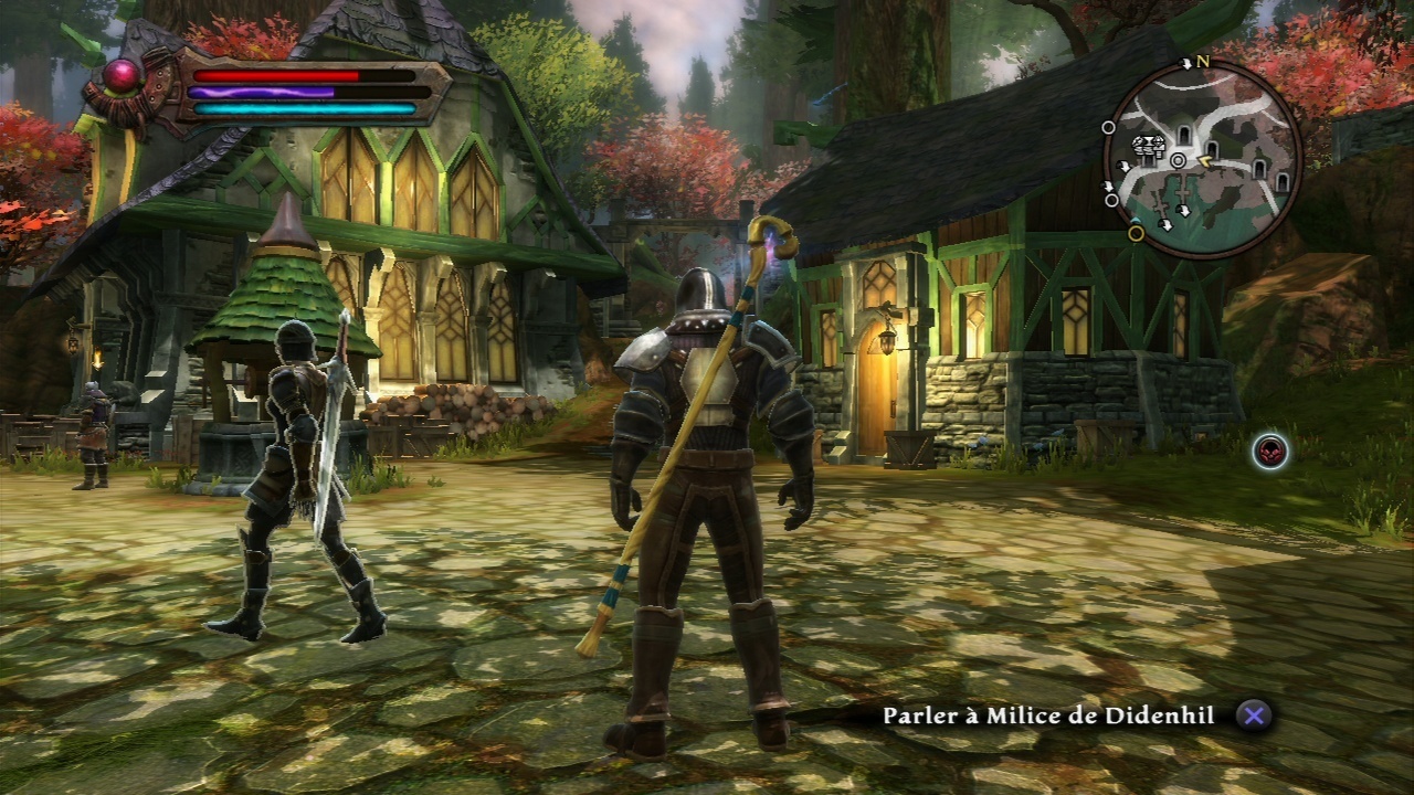 Pantallazo de Kingdoms Of Amalur: Reckoning para PlayStation 3