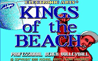 Pantallazo de Kings of the Beach para PC