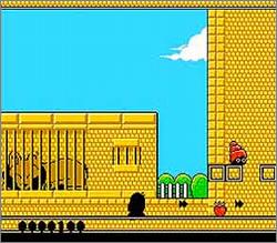 Pantallazo de Kiwi Kraze para Nintendo (NES)