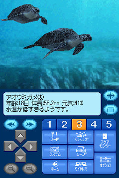 Pantallazo de Kokoro ga uruô Birei Aquarium DS - Kujila, Iruka, Penguin – (Japonés) para Nintendo DS