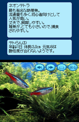 Pantallazo de Kokoro ga uruô Birei Aquarium DS - Tetra, Guppi, Angelfish – (Japonés) para Nintendo DS