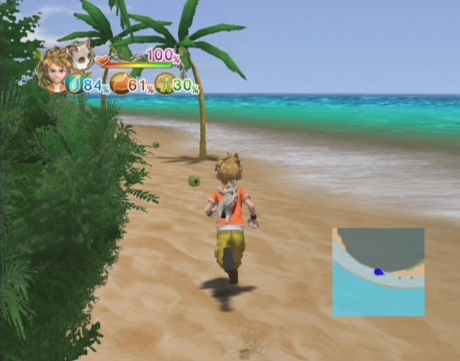 Pantallazo de Lost in Blue: Shipwrecked para Wii