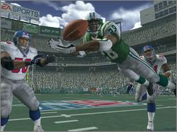 Pantallazo de Madden NFL 2005 para GameCube