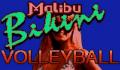 Pantallazo nº 12048 de Malibu Bikini Volleyball (319 x 203)
