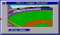 Pantallazo nº 63922 de Micro League Baseball: The Manager's Challenge (320 x 200)