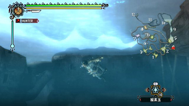 Pantallazo de Monster Hunter 3 para Wii