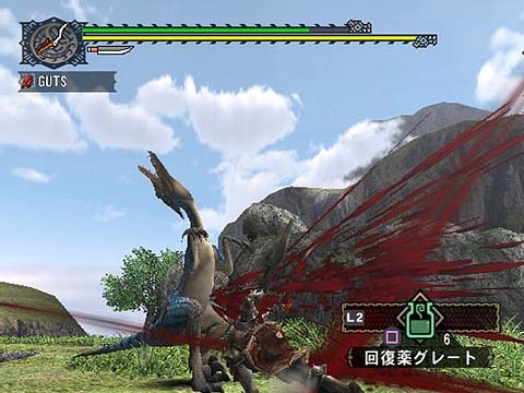 Pantallazo de Monster Hunter G (Japonés) para PlayStation 2