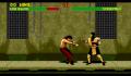 Pantallazo nº 185858 de Mortal Kombat II (640 x 480)