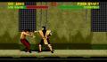 Pantallazo nº 185861 de Mortal Kombat II (640 x 480)