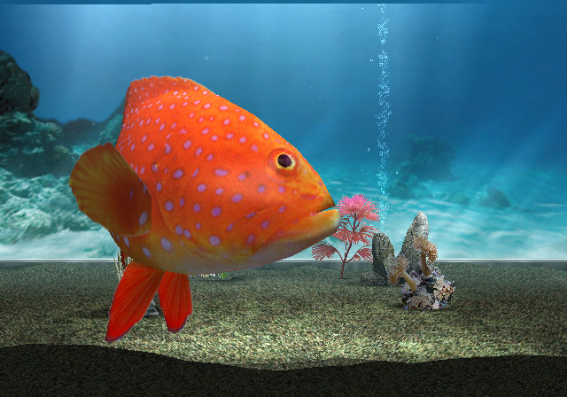 Pantallazo de My Aquarium (Wii Ware) para Wii