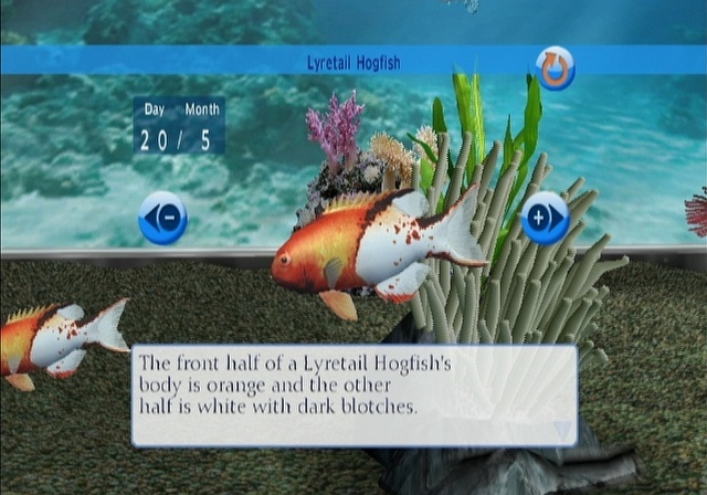 Pantallazo de My Aquarium (Wii Ware) para Wii