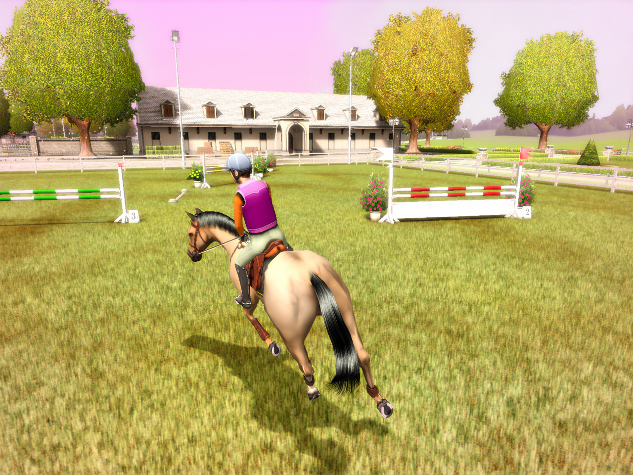 Pantallazo de My Horse and Me para Wii