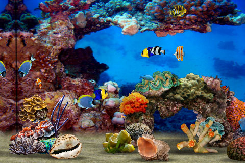 Pantallazo de MyReef 3D Aquarium para Iphone