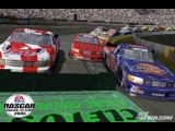 Pantallazo de NASCAR 2005: Chase for the Cup para GameCube