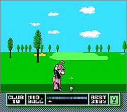 Pantallazo de NES Open Tournament Golf para Nintendo (NES)