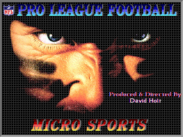 Pantallazo de NFL Pro League Football para PC