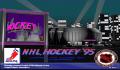 Pantallazo nº 242768 de NHL Hockey 95 (635 x 479)
