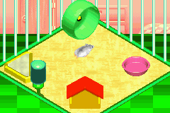 Pantallazo de Nakayoshi Pet Advance Series 1 Kawaii Hamster (Japonés) para Game Boy Advance