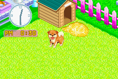 Pantallazo de Nakayoshi Pet Advance Series 2 Kawaii Koinu (Japonés) para Game Boy Advance