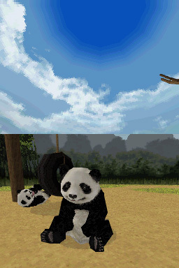 Pantallazo de National Geographic Panda para Nintendo DS