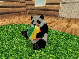 Pantallazo de National Geographic Panda para Nintendo DS