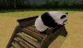 Pantallazo nº 125640 de National Geographic Panda (256 x 192)