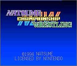 Pantallazo de Natsume Championship Wrestling para Super Nintendo