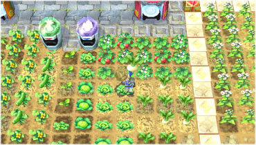 Pantallazo de New Harvest Moon : Innocent Life (Japonés) para PSP