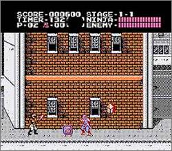 Pantallazo de Ninja Gaiden para Nintendo (NES)