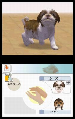 Pantallazo de Nintendogs: Chihuahua and Friends para Nintendo DS