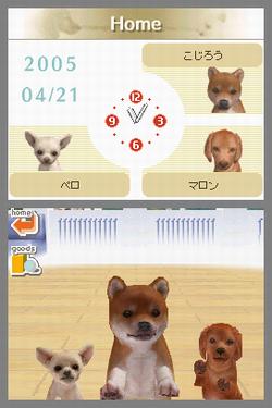 Pantallazo de Nintendogs: Labrador and Friends para Nintendo DS