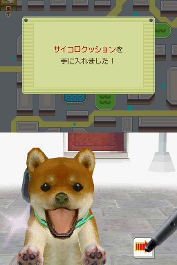 Pantallazo de Nintendogs: Shiba and Friends (Japonés) para Nintendo DS